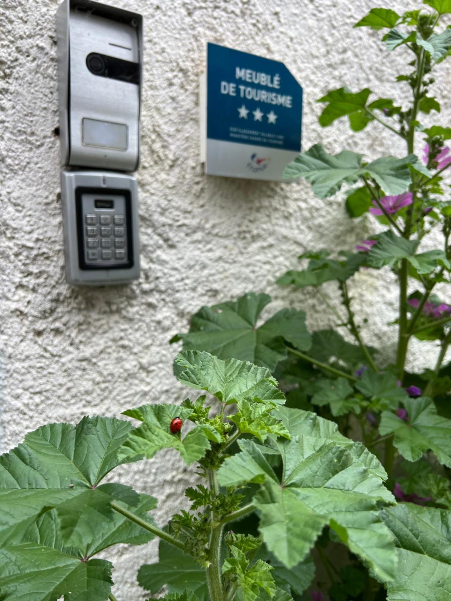 Gîte du Figuier 4 à 6 personnes Sélestat Centre-Alsace Exterior foto